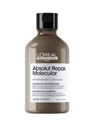 ABSOLUT REPAIR MOLECULAR