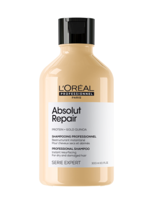ABSOLUT REPAIR