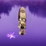 SPIRIT OF KINGS TABANA Woda perfumowana 100ML - 5