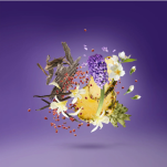 XERJOFF PURPLE ACCENTO Woda perfumowana PRÓBKA 1ML - 4