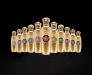 SPIRIT OF KINGS ZESTAW DISCOVERY SET Kolekcja 11 próbek - 2