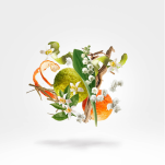 XERJOFF 1861 RENAISSANCE DEODORANT SPRAY Dezodorant 100ML - 2