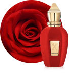 XERJOFF V WARDASINA Woda perfumowana 50ML - 3