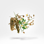 XERJOFF SHOOTING STARS NIO Woda perfumowana 50ML - 5