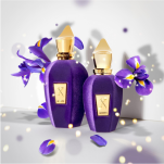 XERJOFF V ACCENTO Woda perfumowana 100ML - 3