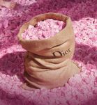 DIOR MISS DIOR ROSE N ROSES Woda toaletowa 100ML - 4