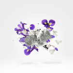 XERJOFF SHOOTING STARS APOLLONIA Woda perfumowana 50ML - 5