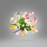 XERJOFF VIBE OUVERTURE Woda perfumowana 50ML - 3