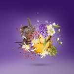 XERJOFF V PURPLE ACCENTO Woda perfumowana 100ML - 5