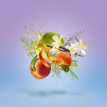 CASAMORATI TEMPIO D'ACQUA Woda perfumowana 30ML - 5