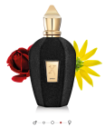 XERJOFF V OPERA Woda perfumowana 50ML - 3