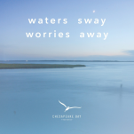 CHESAPEAKE BAY CANDLE SERENE WATERS ŚWIECA ZAPACHOWA ŚREDNIA Z 1 KNOTEM - 3